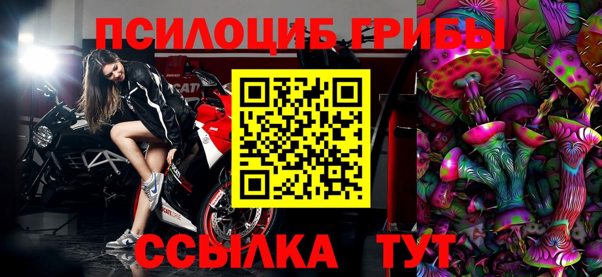 Галлюциногенные грибы Psilocybine cubensis Воткинск