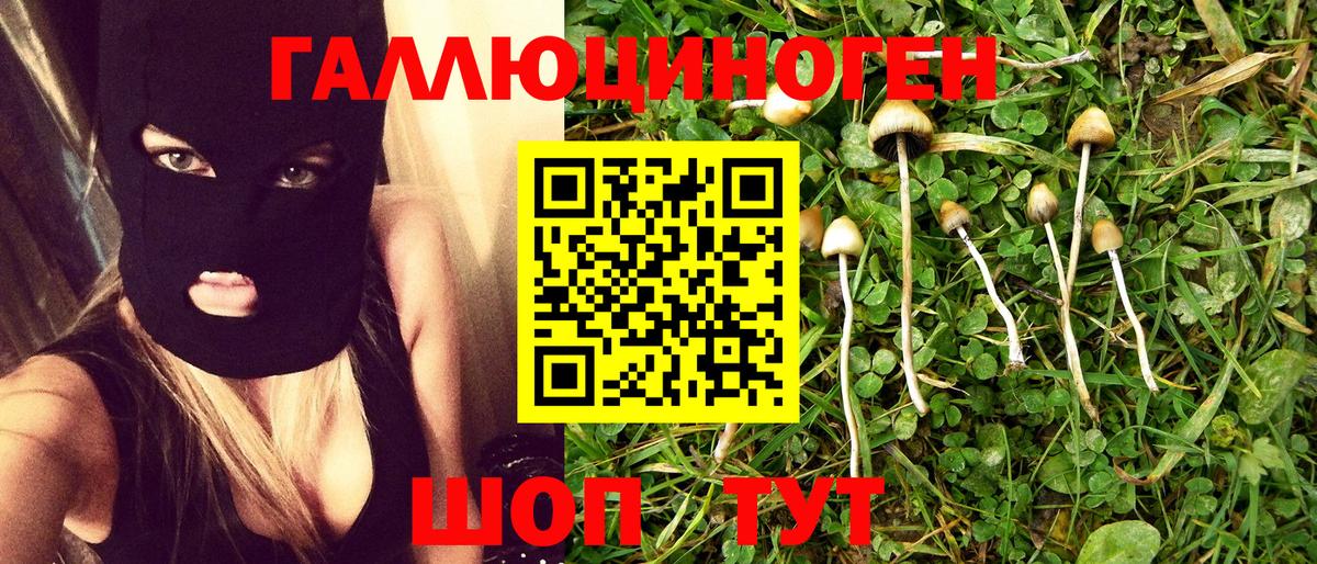 Галлюциногенные грибы GOLDEN TEACHER  Псилоцибиновые грибы MAGIC MUSHROOMS  Вход с VPN  Воткинск 